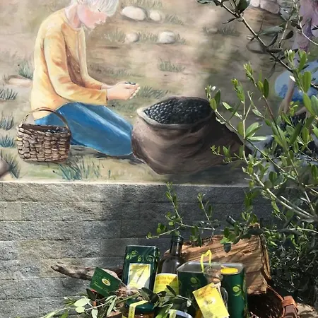 Arietta Vlo150 By Interhome